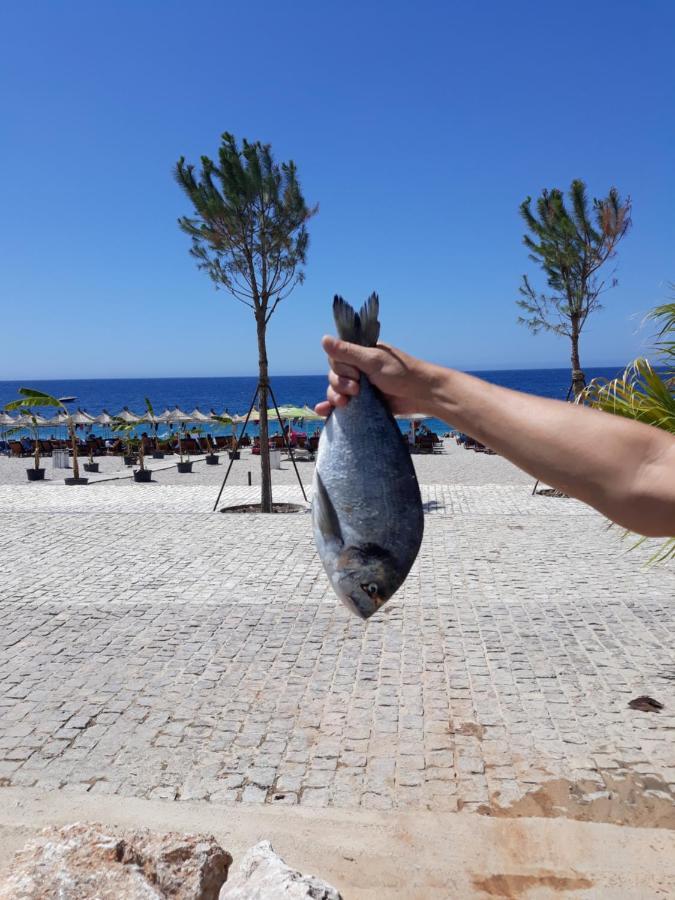 Vela E Bardhe